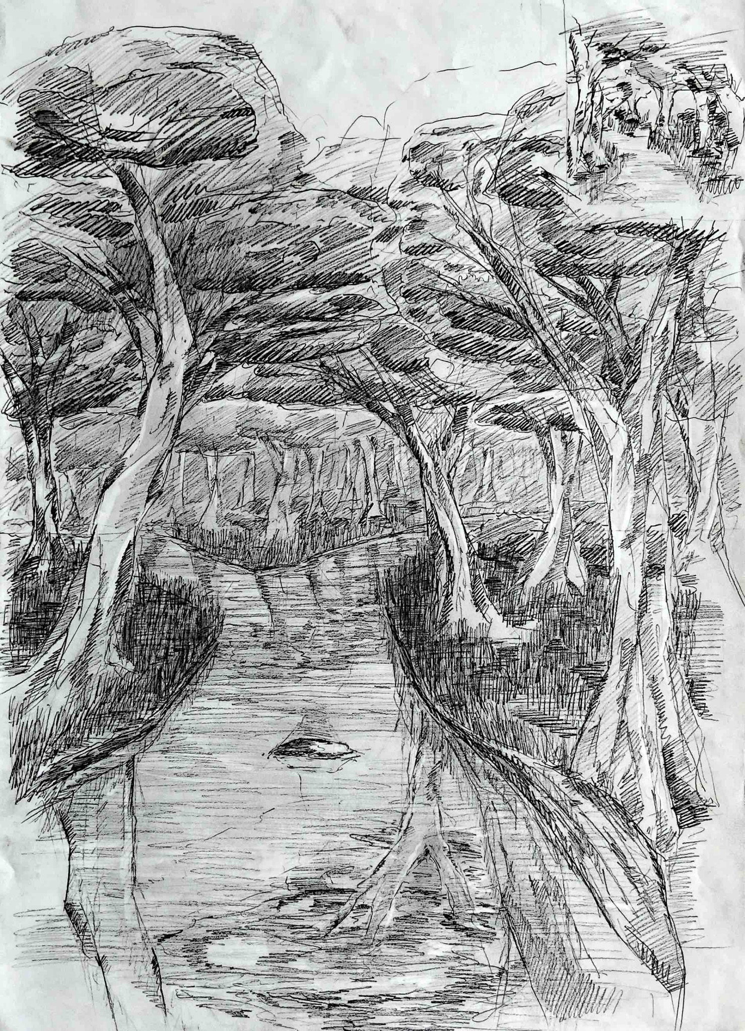 Drawing