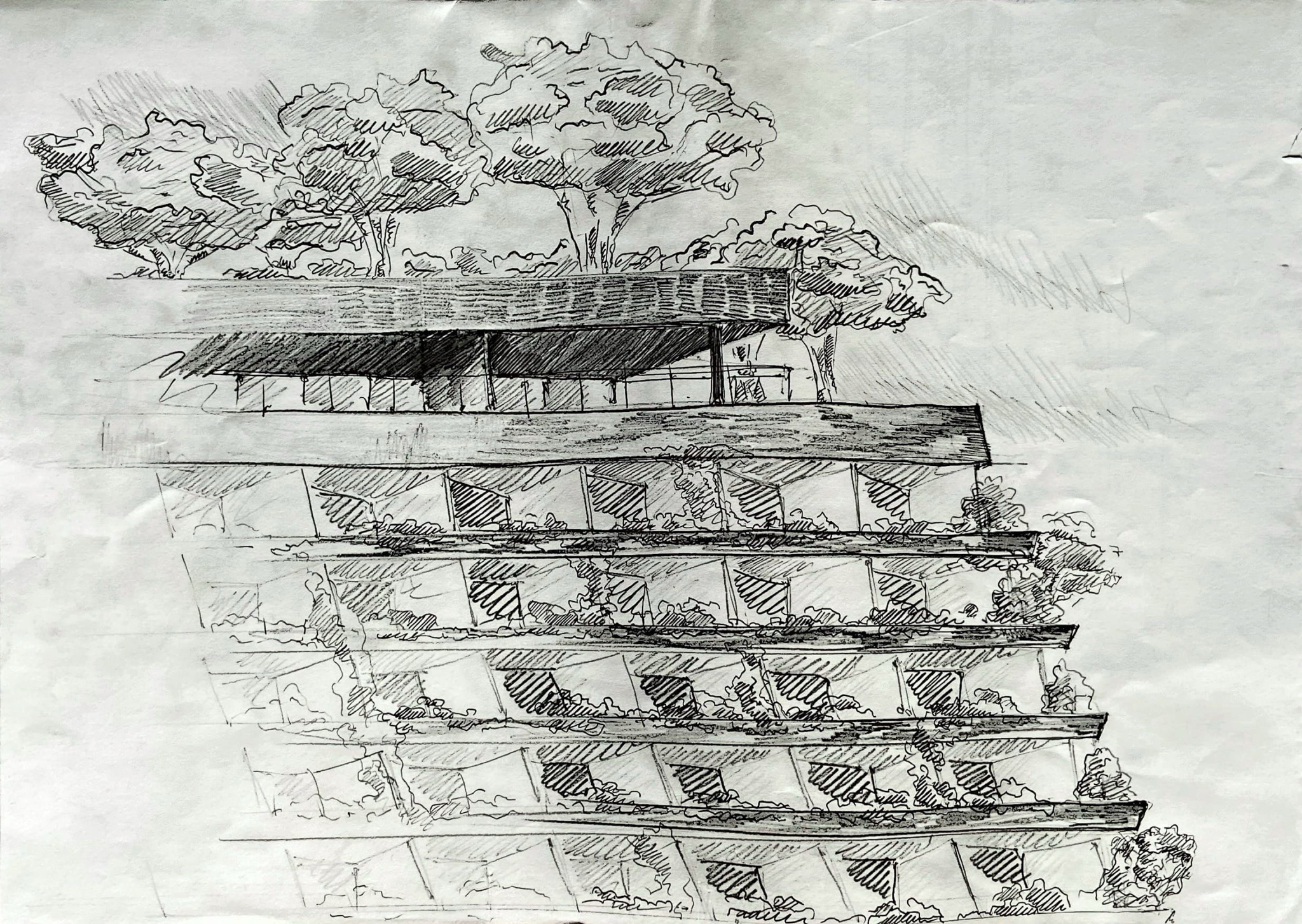 Drawing